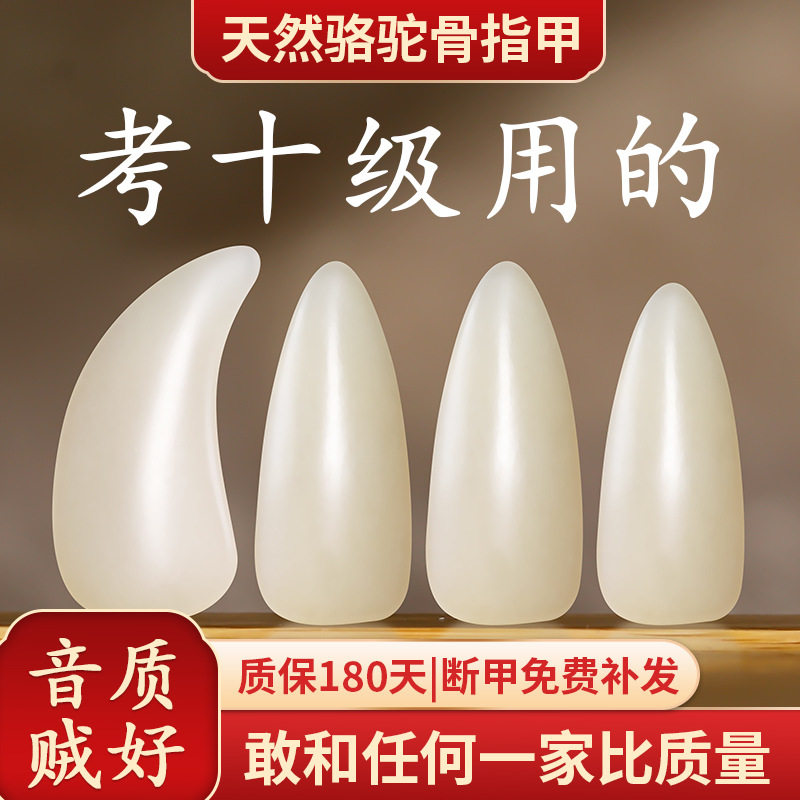 古筝指甲骆驼骨专业演奏级儿童成人演奏考级专用高颜值义甲批发
