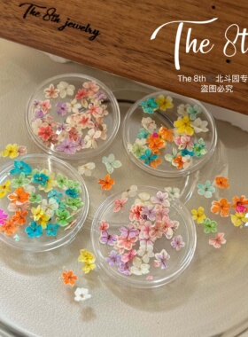 The 8th 美甲干花彩色整朵小清新花朵素材美甲饰品手工压花E8-7