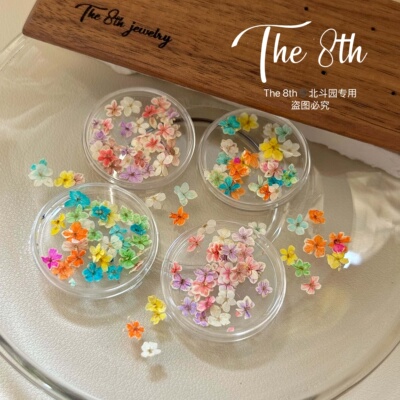 美甲干花彩色整朵小清新花朵