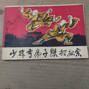 少林寺弟子跌打秘宗戚继光拳经捷要传统武术功夫原版旧书籍