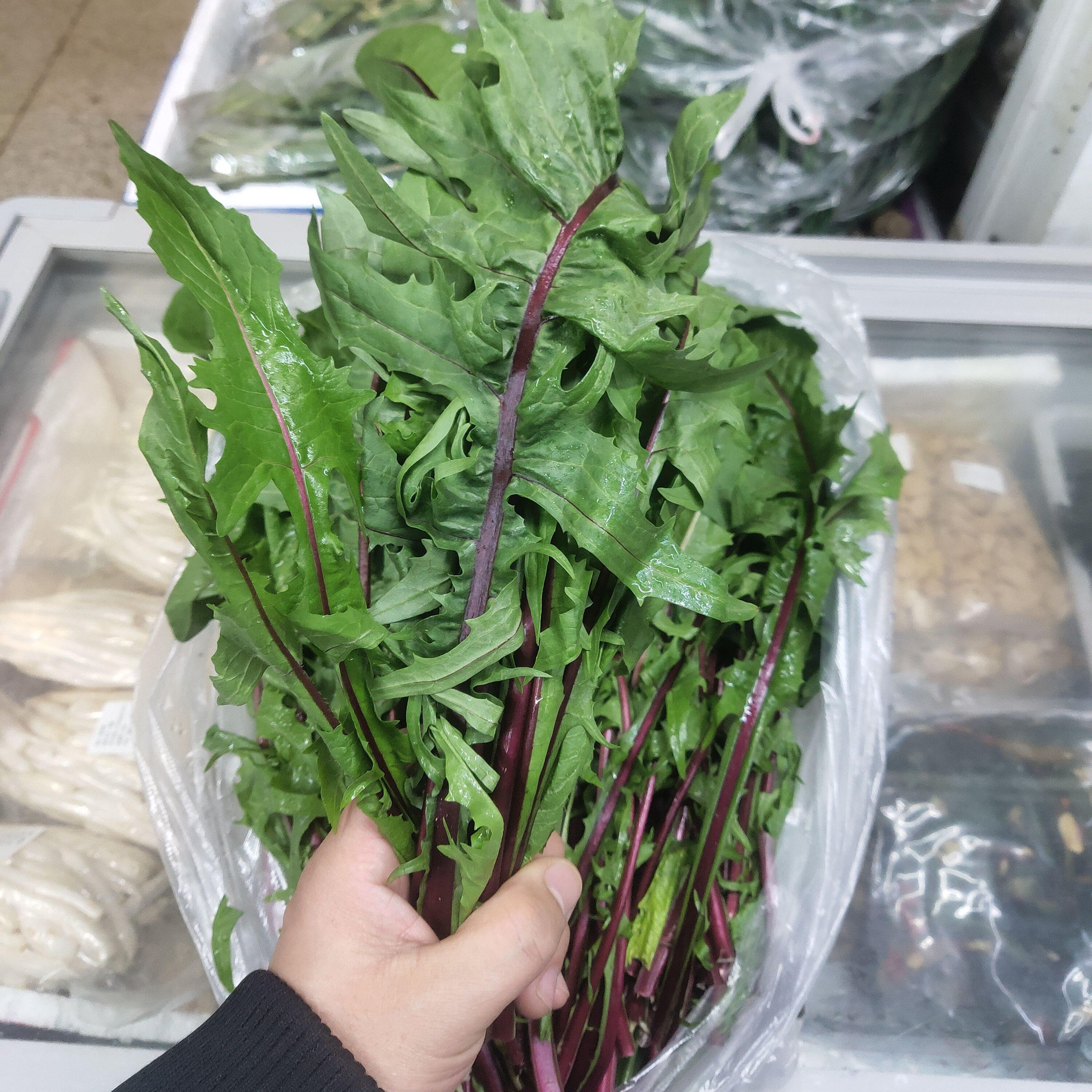 现摘现发新鲜韩国天然婆婆丁嫩叶生菜蘸料味苦韩国料理烤肉食材