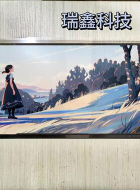 戴尔触摸液晶屏B133hak02.1 LP133WF6(SP)(K2)  LN.V9V01H001通用