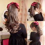 Extension cheveux - Chignon - Ref 235728 Image 26
