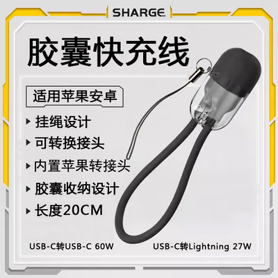 闪极20厘米苹果口C口快充线短线