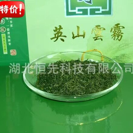 中国名茶 湖北大别山特产茶叶 食用农产品 生态云雾绿茶 英山毛尖