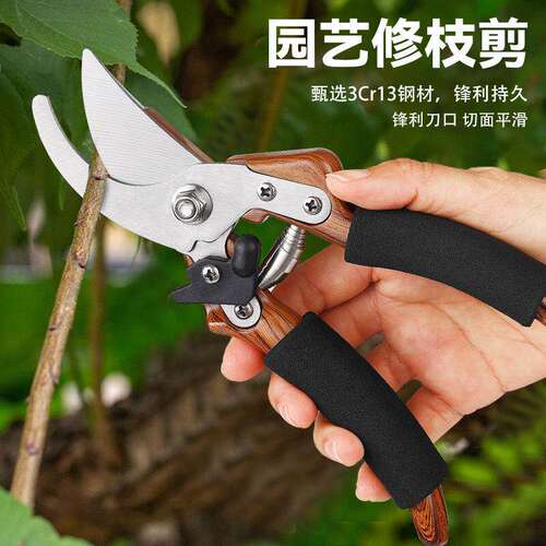 园艺剪刀剪果树修枝剪粗枝剪果枝嫁接剪园林专用工具轻松修枝神器