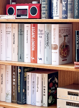 玩具】仿真书本/书块/书柜装饰 6分12分Blythebjd迷你模型62063