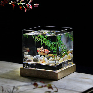 美人鱼方形一体缸加厚桌面斗鱼缸金鱼缸家用水培器皿花瓶花器大号