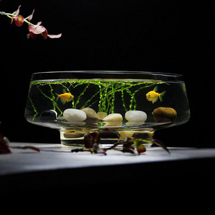 圆形收底水晶玻璃鱼盆桌面金鱼缸小型热带鱼缸一体缸果盆收纳器皿