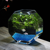 美人鱼高品质玻璃鱼缸个性 创意水培花器家用玻璃缸斗鱼桌面鱼缸