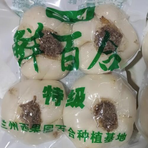 兰州鲜百合新鲜特级纯天然500g