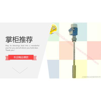 议价料位计 FTI26-11X0/0 FTI26-BO4NWDJ+PA 24VDC 物位计Minicap