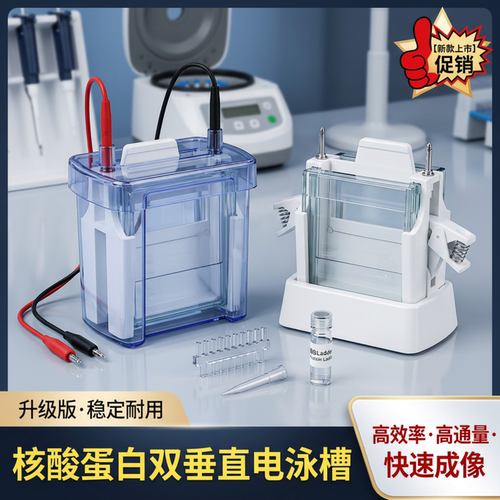 水平垂直电泳槽实验室电泳仪