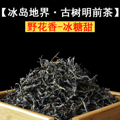 2025新茶头春头采冰岛地界古树茶