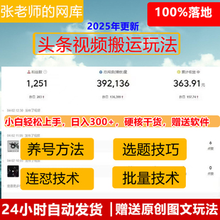 2025年今日头条视频新搬运技术赛道怎样起号 教你快速做出收益