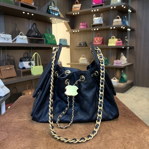 匠者老邢-25bag女包hobo链条mini26cm鱼子酱单肩斜挎包