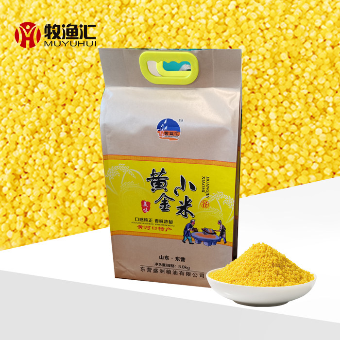 牧渔汇黄河口土特产黄金小米(东营特产)