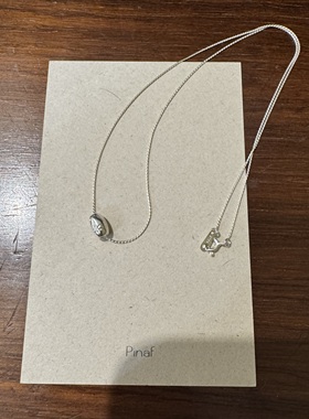 韩国pinaf同款通体S925纯银小众设计感锁骨女蛇骨项链ins风简约