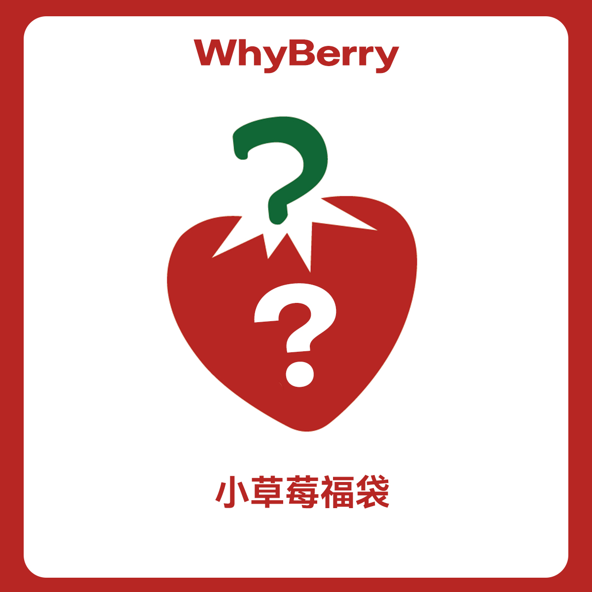 【小草莓福袋】WhyBerry福袋春夏上衣/外套/下装