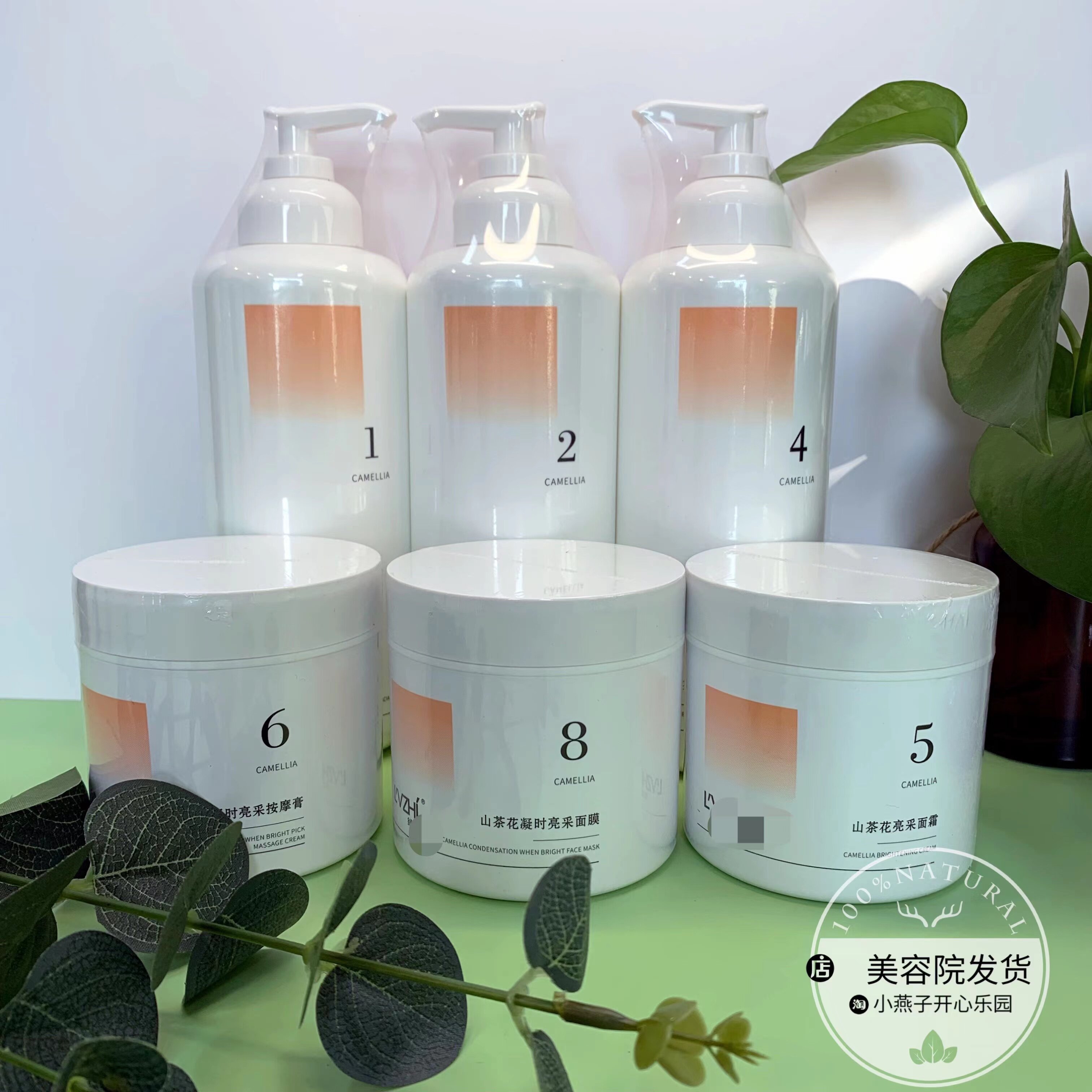 山茶花6件套提亮保湿面部套装