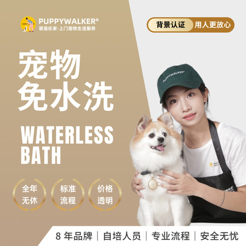 萌宠在家宠物上门狗狗洗澡免水洗
