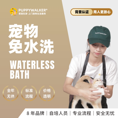 萌宠在家宠物上门猫咪免水洗清洁