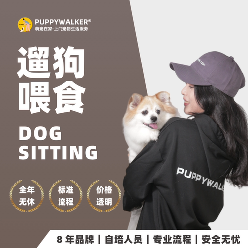 萌宠在家宠物上门服务喂狗遛狗
