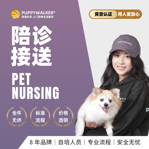 萌宠在家宠物接送陪诊服务