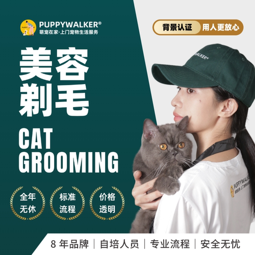 萌宠在家上门猫咪洗澡剃毛美容