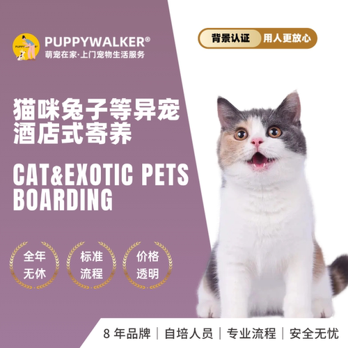 萌宠在家猫咪小宠酒店式寄养