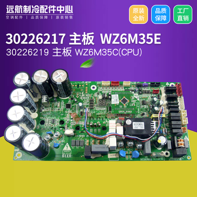 30226217主板WZ6M35E