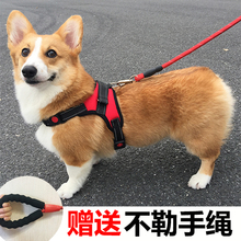 遛狗绳子泰迪法斗柯基中型小型犬宠物用品胸背带 狗狗牵引绳背心式