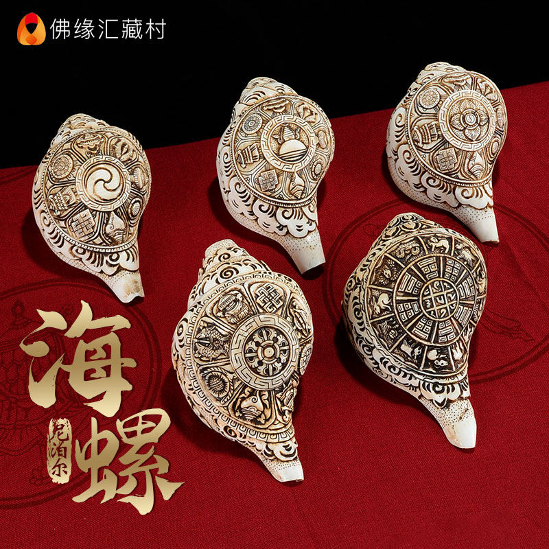 藏村八吉祥海螺号角可吹口哨能吹响超大贝壳天然海螺桌面摆件