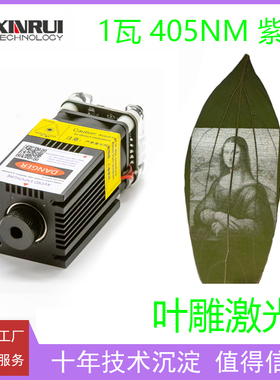 1w405nm叶雕紫光激光模组激光雕刻机配件