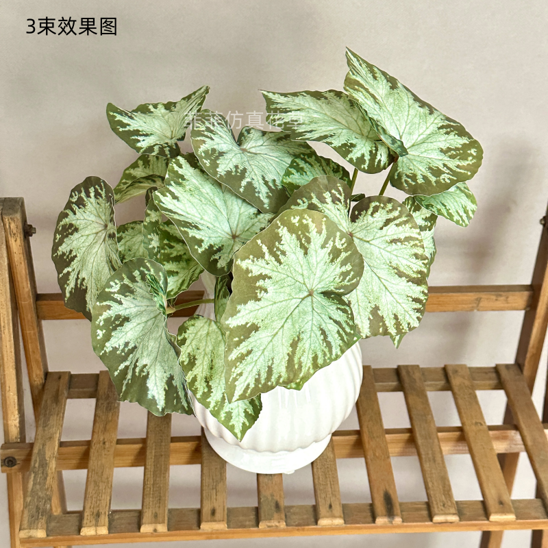 仿真绿植五彩芋秋海棠室内装饰品