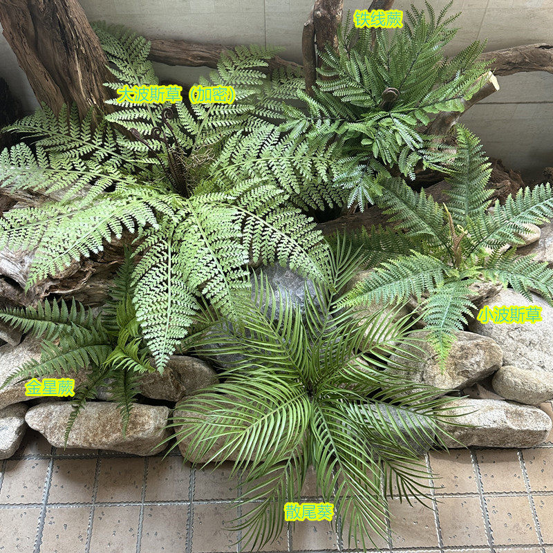 新品塑料仿真波斯草金星蕨散尾葵铁线蕨绿植室内园艺婚庆节日布景