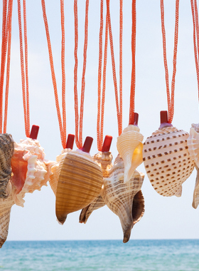 天然海螺号喇叭口哨儿童吹号玩具小螺号创意礼物大海螺号角