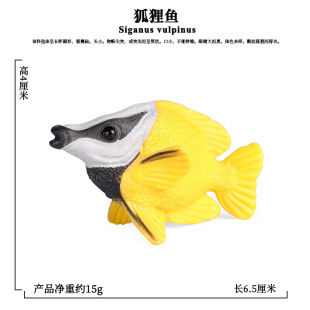 仿真动物模型儿童认知玩具淡水海洋深海狐狸鱼豹纹鲨黄尾副刺尾鱼