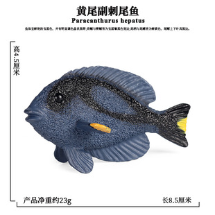 仿真淡水海洋深海动物模型儿童玩具摆件黄尾副刺尾鱼狐狸鱼豹纹鲨