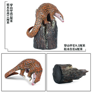 儿童认知玩具仿真野生动物模型哺乳动物穿山甲铠鼠犰狳食蚁兽