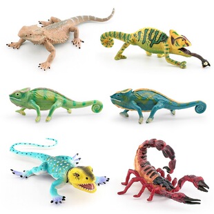 跨境仿真野生动物模型变色龙蜥蜴蝎子松狮蜥静态桌面装饰摆件玩具