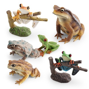 儿童认知仿真野生动物红眼树蛙雨蛙蟾蜍蛤蟆静态装饰模型摆件玩具