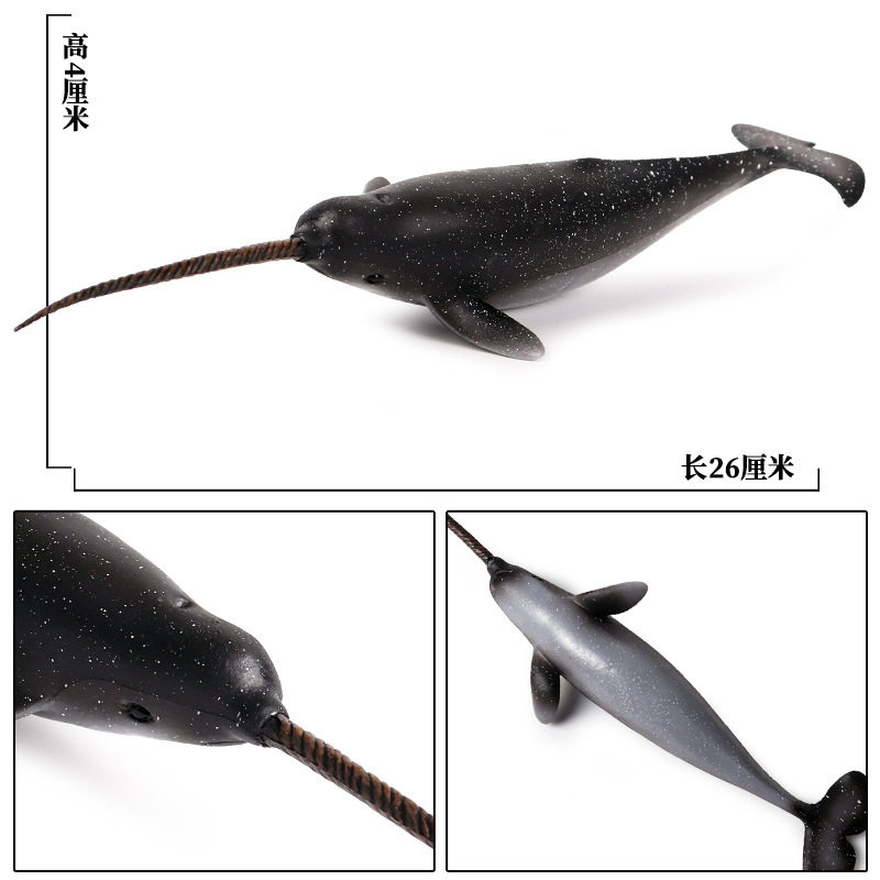 儿童仿真巨齿鲨鱼大白鲨海豚白鲸