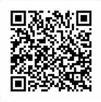 Extension cheveux - Chignon - Ref 249240 Image 5