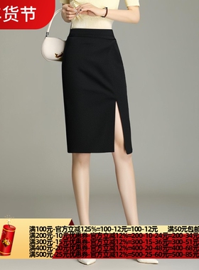 2024秋威W系列 衣佳人折扣女装 简约大方 洋气职业短裙半身裙3154