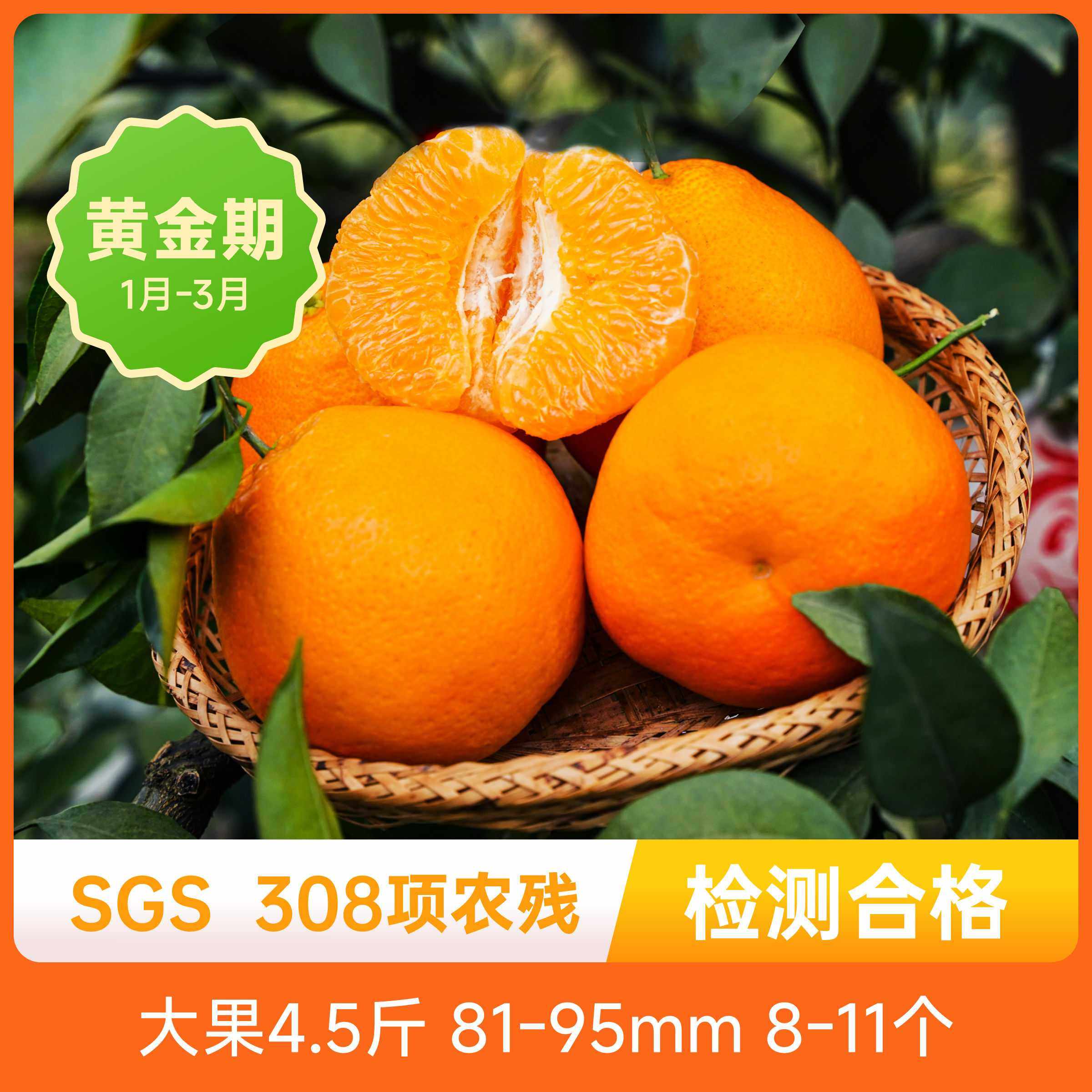 春见耙耙柑果香浓郁饱满圆润酸甜适中无核少籽新鲜应季水果包邮,水产肉类/新鲜蔬果/熟食,橙,淘宝优惠券,粉丝福利购,淘宝优惠卷