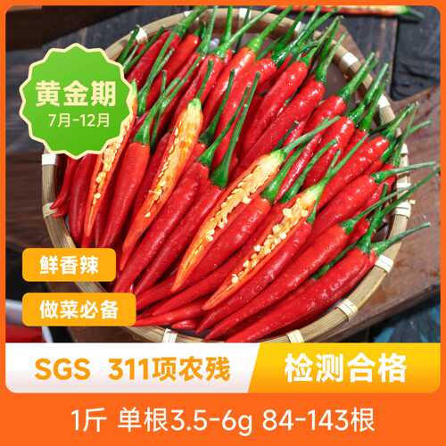 云南高原小米辣产自文山丘北辣香浓郁新鲜脆嫩先香后辣不泡药包邮