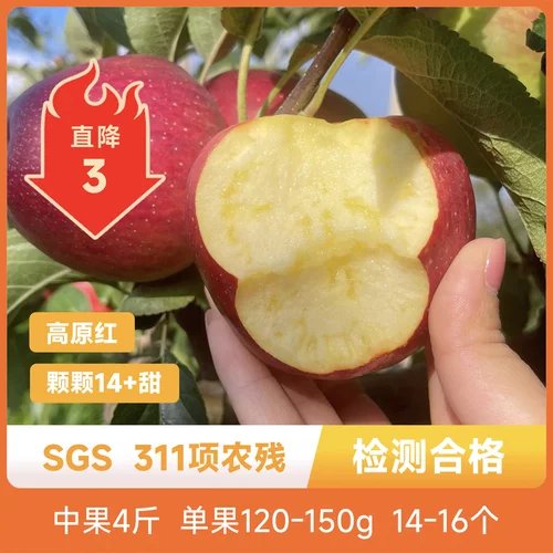 云南红露苹果果香清新红润饱满脆甜多汁新鲜应季现摘现发产地直发
