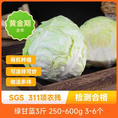 有机绿甘蓝圆润饱满叶片紧实口感脆嫩清新微甜新鲜现摘现发包邮