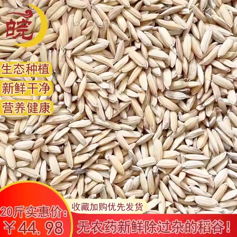 安徽芜湖新粮食早稻谷子早籼稻子带壳水稻喂鸡鸭仓鼠饲料20斤10kg